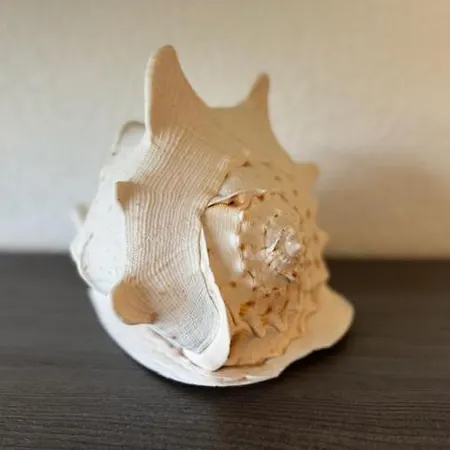 Haus Sonnenschein In Apartamento